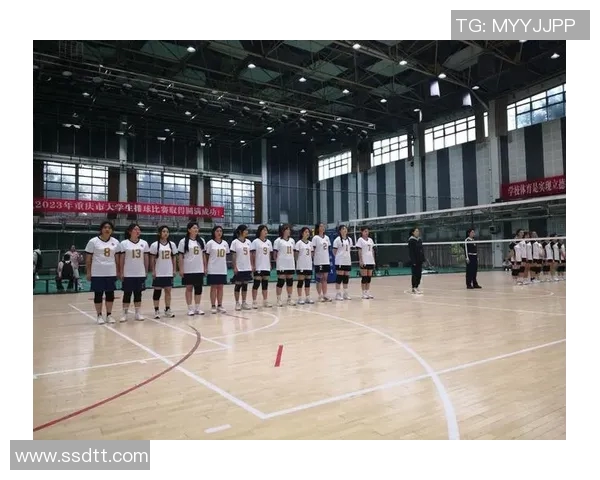 重庆排球队意识提升研究与发展策略探讨